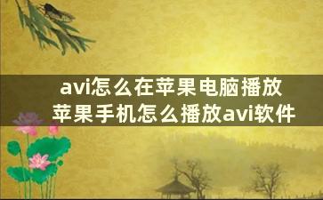 avi怎么在苹果电脑播放 苹果手机怎么播放avi软件